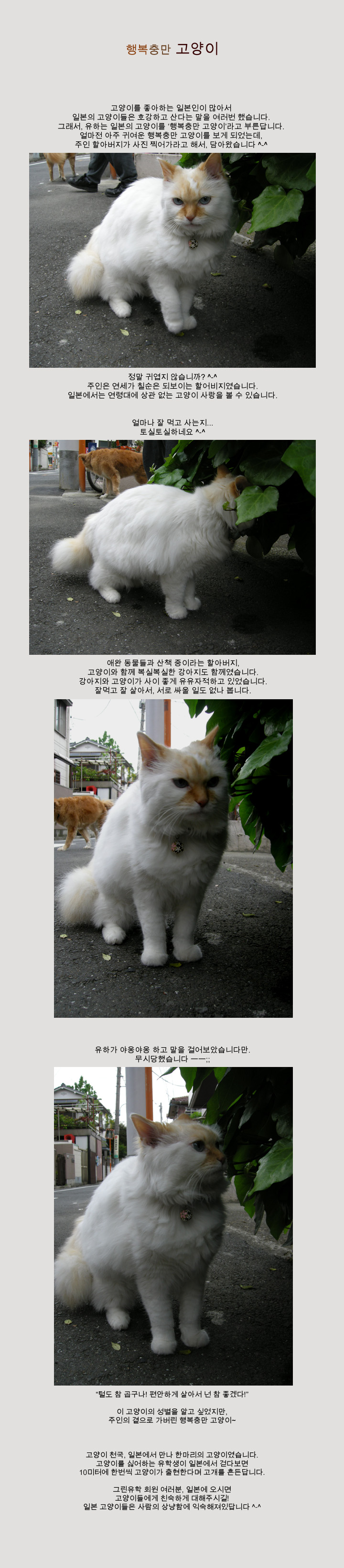 [�Ϻ���] �Ϻ��� �����̴�... '�ູ�游 ������'